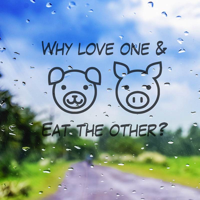Why Love One & Eat The Other F - Interior Design Magazine ulasan dan harga