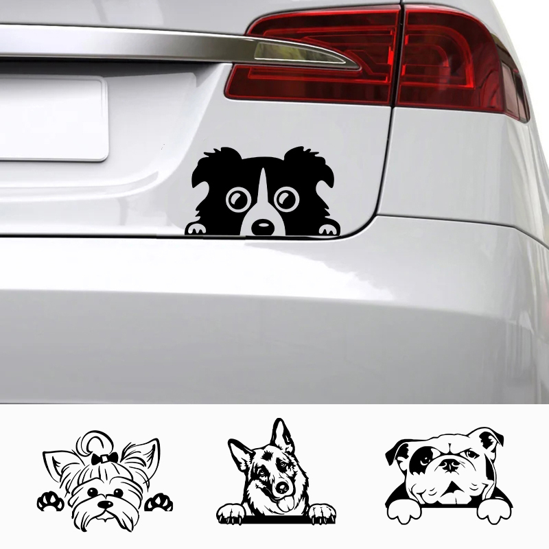 Cars Accessorie Decals Funny D - Interior Design Magazine ulasan dan harga