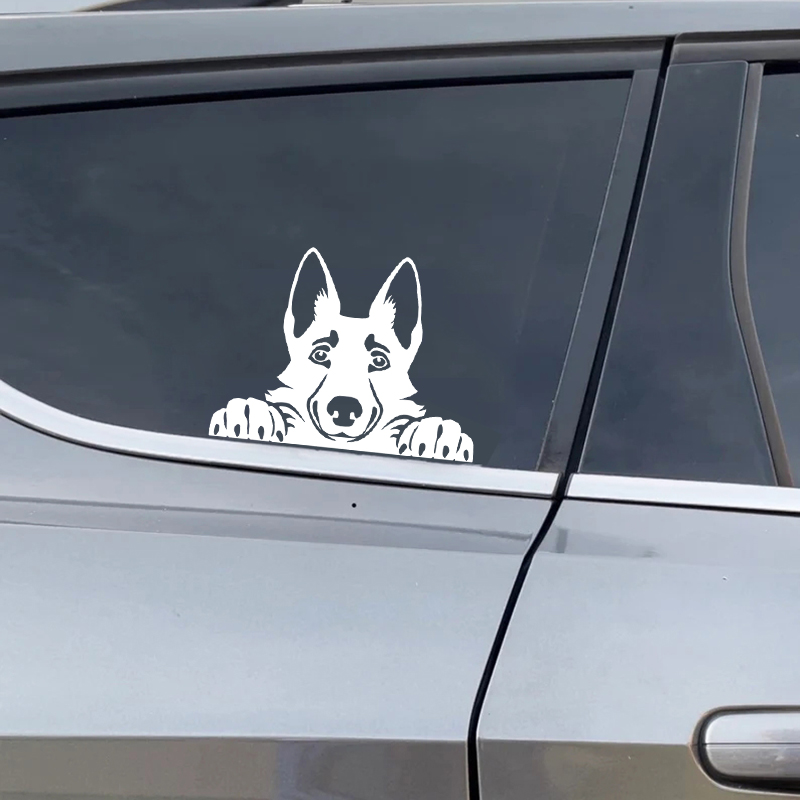 Cars Accessorie Decals Funny D - Interior Design Magazine ulasan dan harga